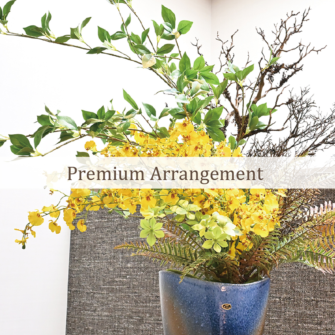 プレミアムコレクション